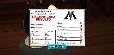 owl results